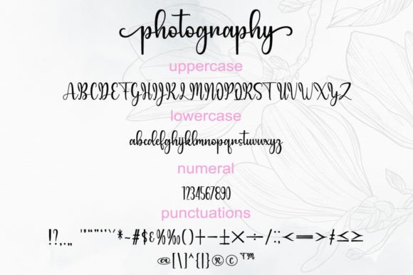 Photography Font Poster 4