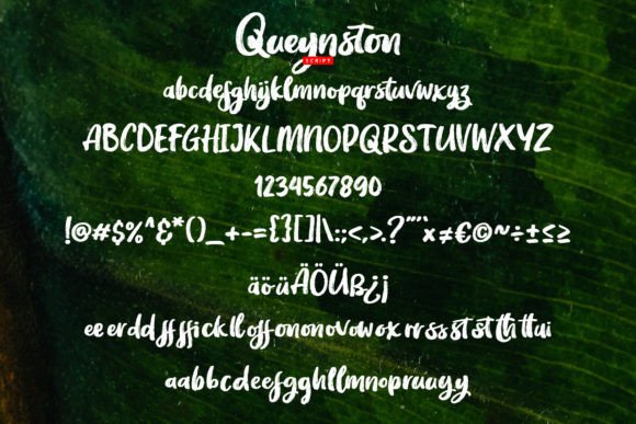 Queynston Font Poster 5