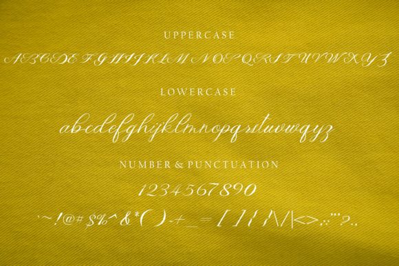 Raneysha Font Poster 8