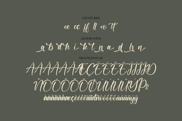 Raykania Font Poster 14