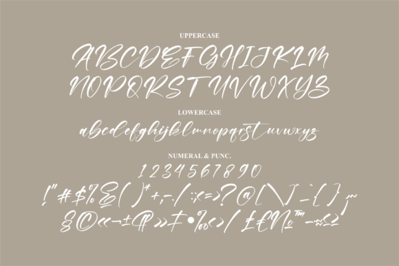 Raylight Font Poster 13