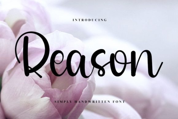 Reason Font