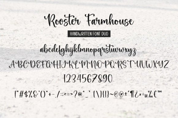 Rooster Farmhouse Duo Font Poster 6