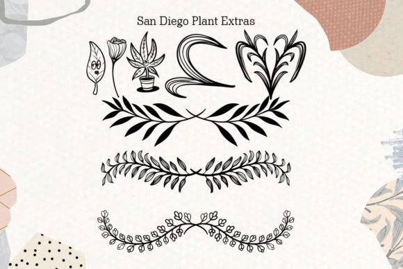 San Diego Font Poster 4
