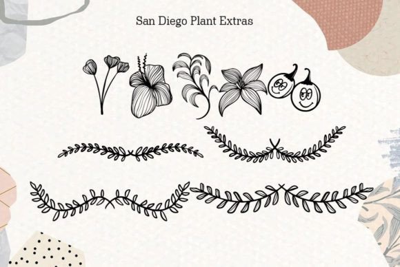 San Diego Font Poster 5