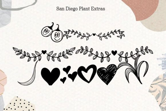 San Diego Font Poster 6