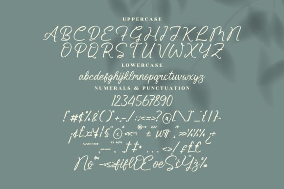 Schottely Font Poster 13