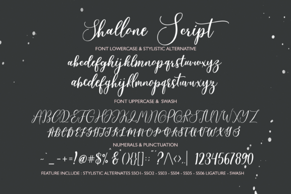 Shallone Font Poster 9