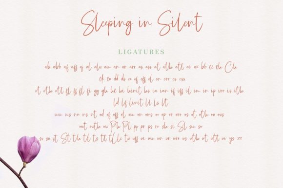 Sleeping in Silent Font Poster 11