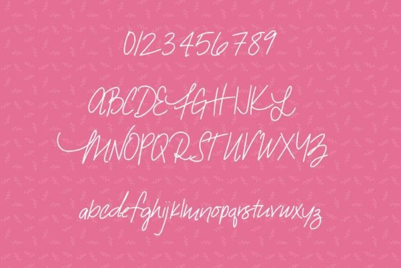 Snarky Flamingo Font Poster 2