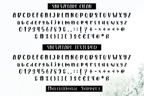 Snowflake Font Poster 3