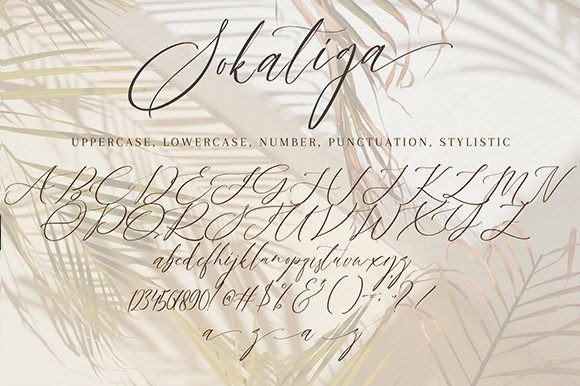 Sokatiga Font Poster 10