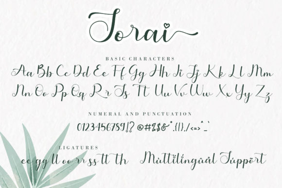 Sorai Font Poster 9