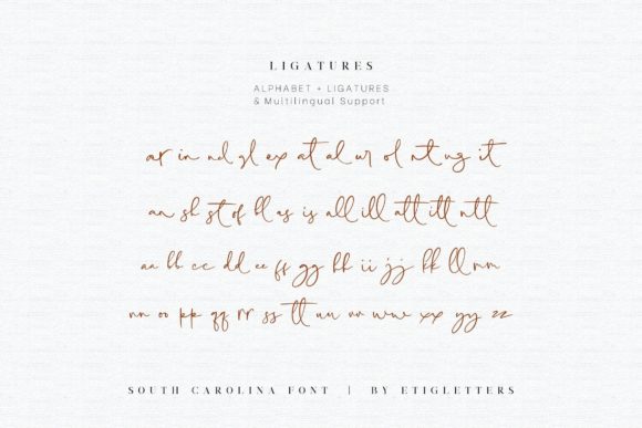 South Carolina Font Poster 10