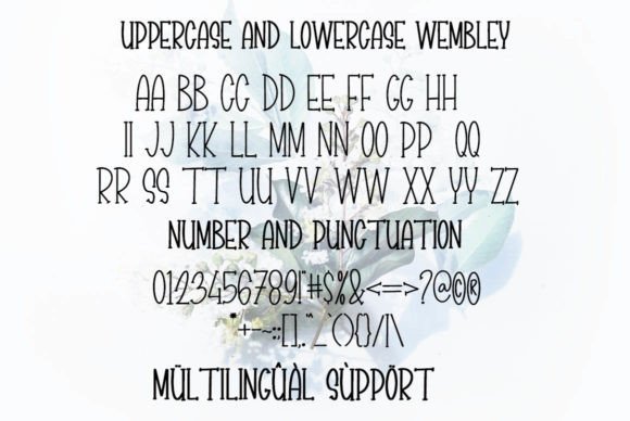 Southampton Font Poster 5