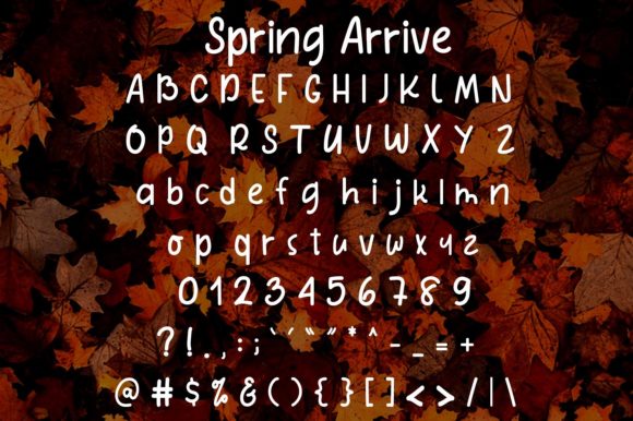 Spring Arrive Font Poster 5