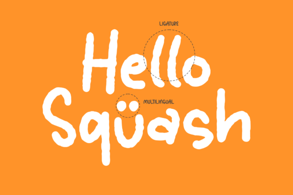 Squash Delight Font Poster 12