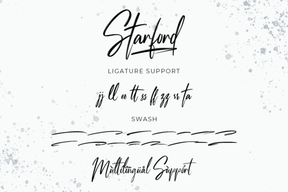 Starford Handwriting Brush Font Poster 7