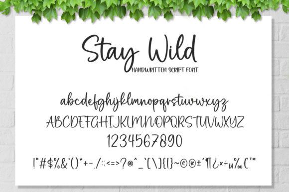 Stay Wild Font Poster 6