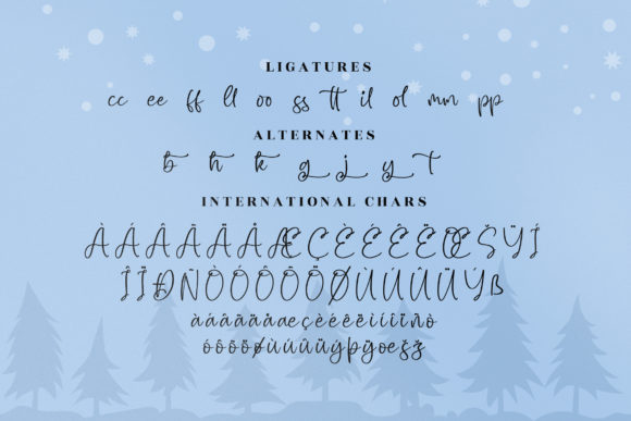 Storycold Font Poster 14