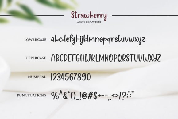 Strawberry Font Poster 6