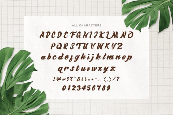 Summeric Font Poster 8