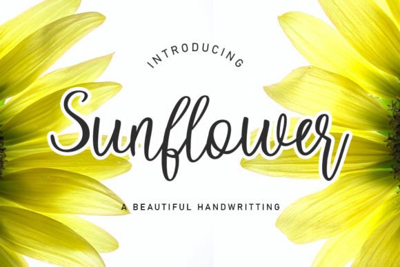 Sunflower Font Poster 1