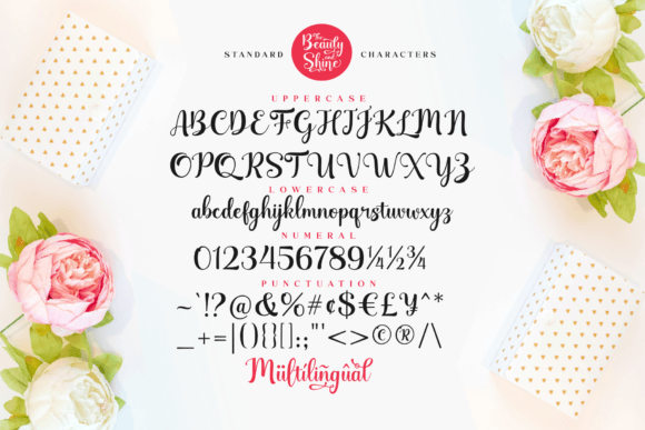 The Beauty and Shine Font Poster 14