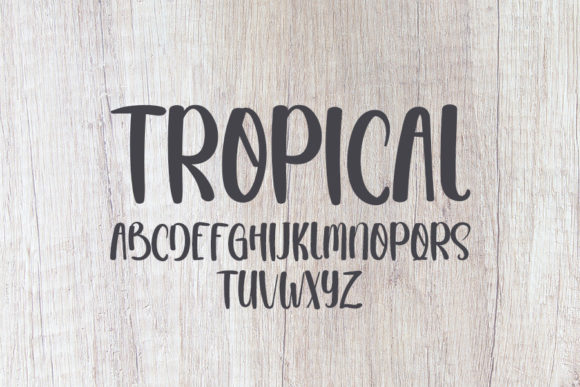 Tropical Font Poster 5
