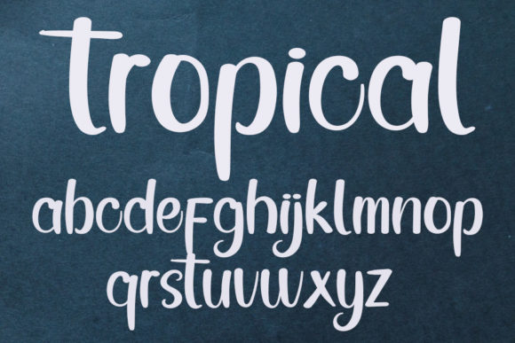 Tropical Font Poster 6