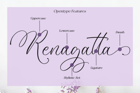 Vanelosia Font Poster 8