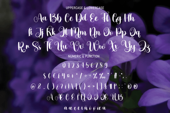 Violet Font Poster 6