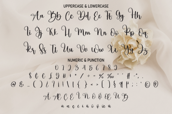 Wedding Font Poster 7