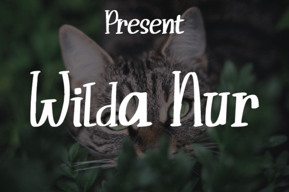 Wilda Nur Font Poster 1