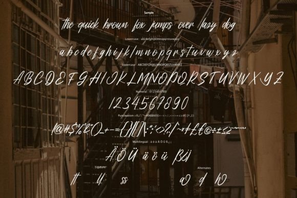 Yollanda Font Poster 6