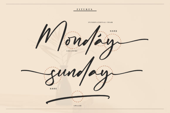 Abigaila Signature Font Poster 12