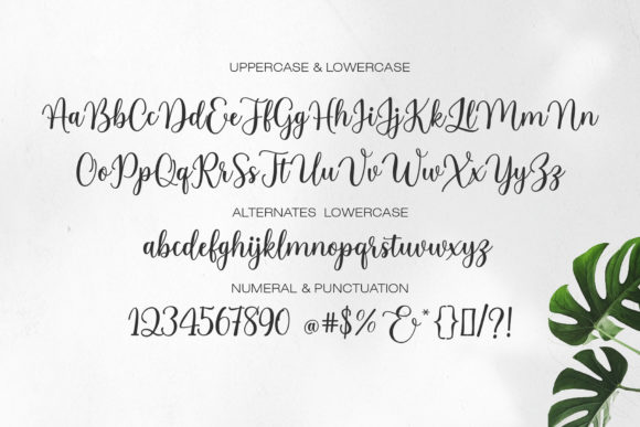 Alicia Geraldine Font Poster 6