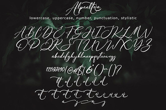 Alpenttera Font Poster 9