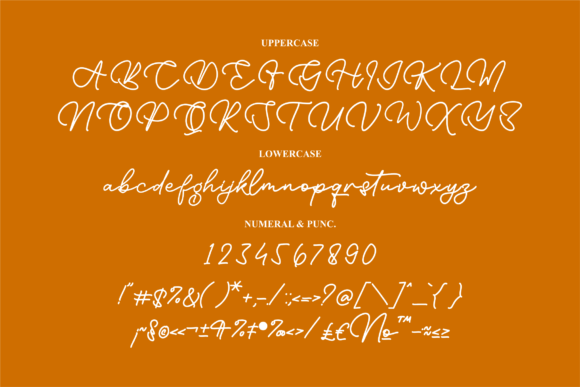 Andhine Manta Font Poster 13