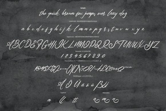 Antelona Script Font Poster 6