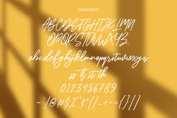 Antigor Font Poster 8