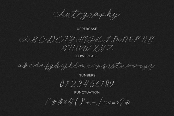 Autograph Font Poster 9