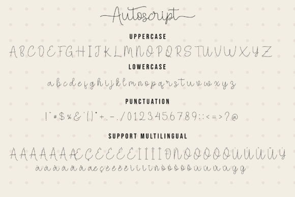 Autoscript Font Poster 6