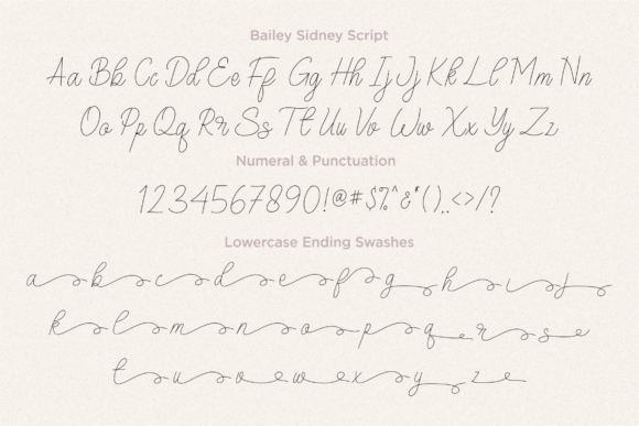 Bailey Sidney Font Poster 11