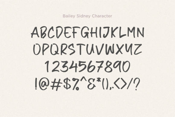 Bailey Sidney Font Poster 10
