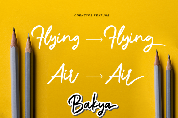 Bakya Font Poster 2