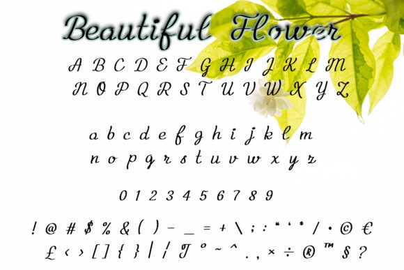 Beautiful Flower Font Poster 4