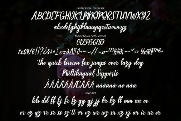 Beauty Rhapsody Font Poster 3