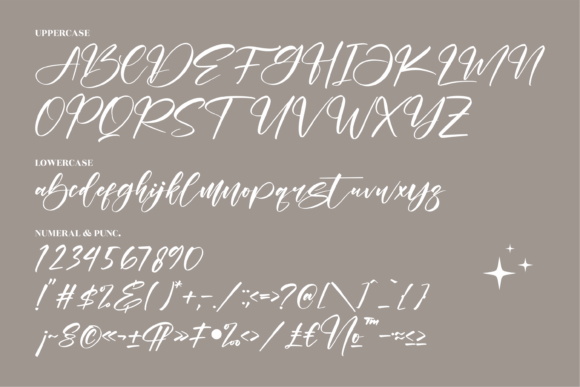 Belistic Kaldera Font Poster 13