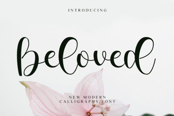 Beloved Font Poster 1